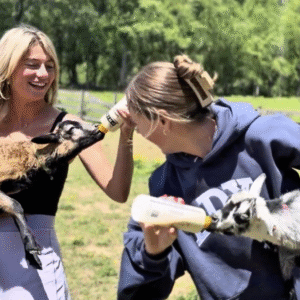 Two women feeding baby goats with bottles.